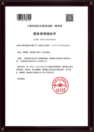 一般纳税人